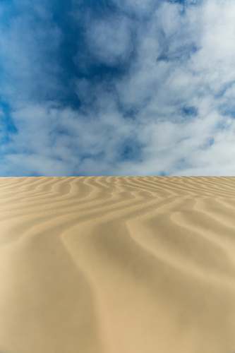 nature desert terrain during daytime desert