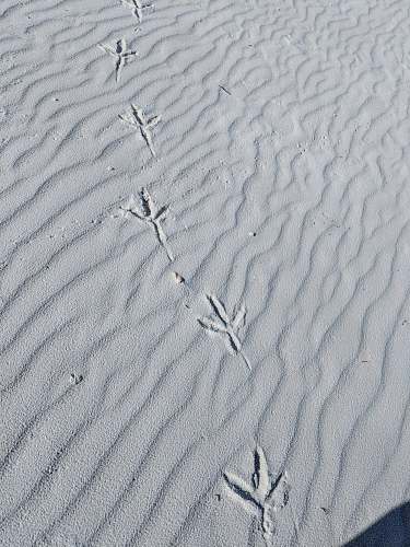 grey foot steps on sand sand