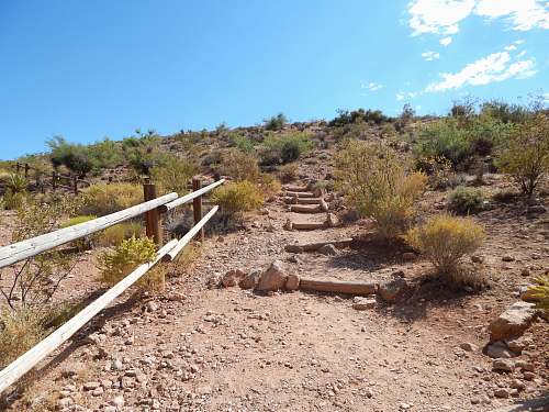 hiking landscape photo of green leafed plant road