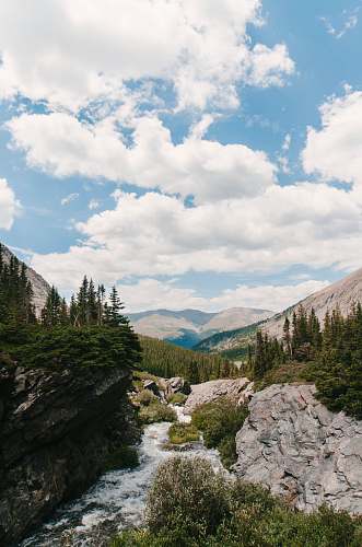 forest river in valley with trees blue lakes trailhead
