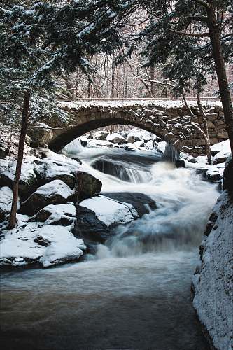 nature river with bridge surrounded by trees during daytime water