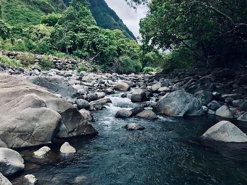 nature rocks at the river during daytime water