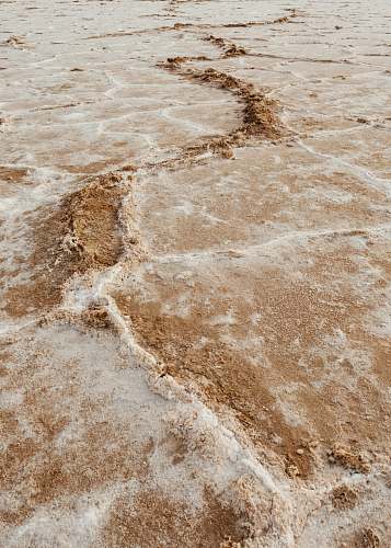 nature seashore during daytime sand