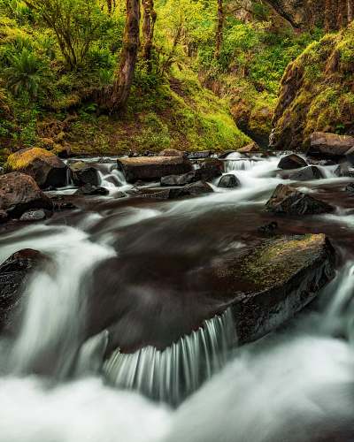 water timelapse photo of running stream creek