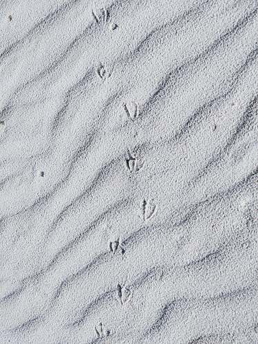grey top view of sand dunes soil