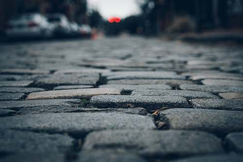 grey selective focus photo of brown leaf on concrete brick cobblestone