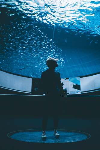 human man wearing curved-brim cap inside the aquarium person