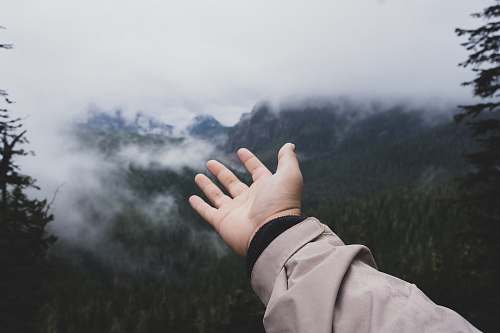human person raising left hand people