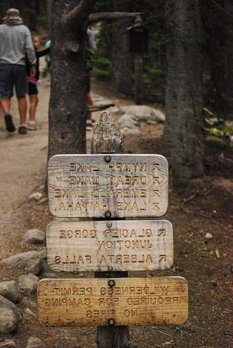 human three brown wooden signage boards people