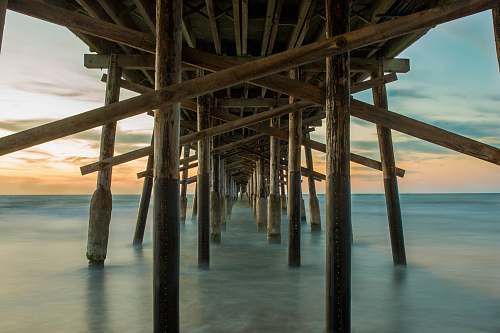 dock legs of pier in water newport beach