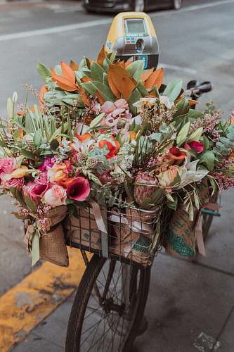 flora assorted-color flowers in bike basket jar