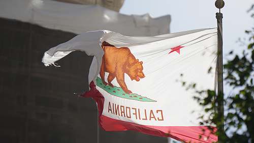 flora California flag jar