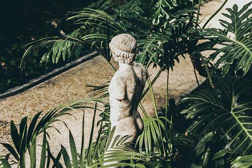flora closeup photo of topless statue surrounded by plants jar