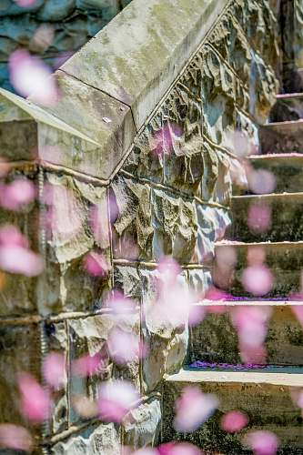 nature empty brown staircase ice