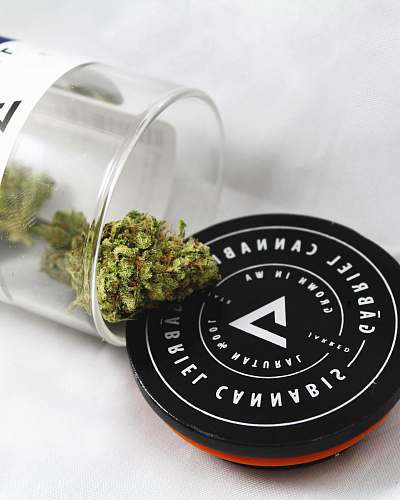 seattle green kush photograph united states
