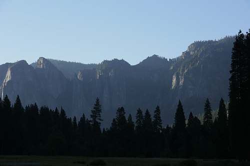 tree landscape photography of green mountain abies