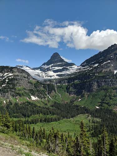 tree mountain scenery mountain