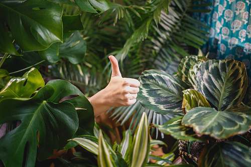 flora person showing thumb portland