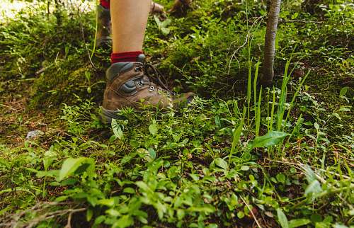colorado person wearing hiking shoes standing on green grass shoe