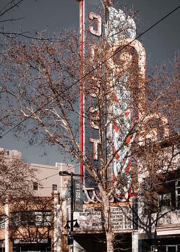 tree white and red metal cross on brown tree sacramento