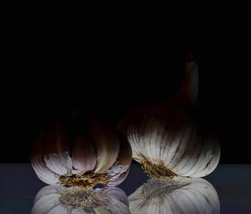 food white garlic in black background garlic
