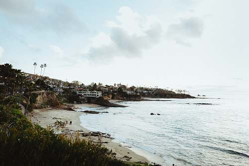shoreline  water