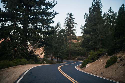 highway black asphalt road in the middle of trees during daytime yosemite national park