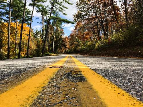 asphalt gray and yellow road between trees dirt road
