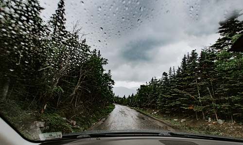 flora gray road between green trees during daytime jar