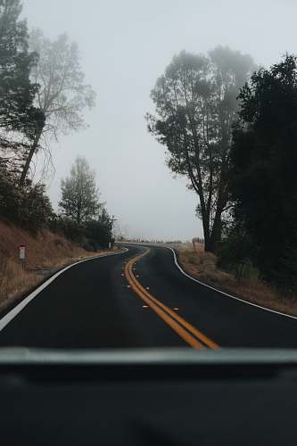 freeway vehicle on road near trees highway