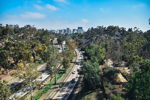 freeway vehicle passing on road in between trees with buildings ahead at daytime balboa park