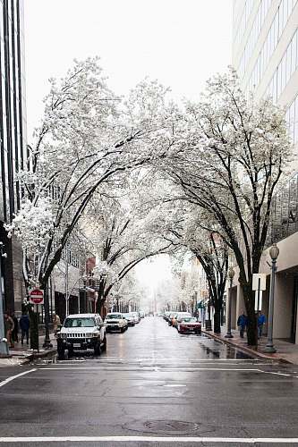 walkway white car on rode near trees covered with snow during daytime sidewalk