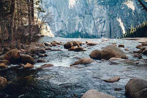 animal river towards mountain mammal