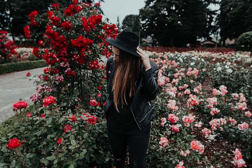 flower woman in black suit jacket and hat near field of pink and red roses plant