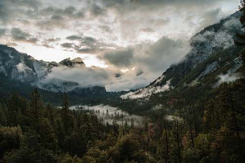mountain landscape photo of green trees yosemite drive