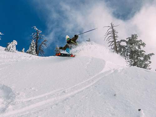 skiing person skiing on snow-covered hill flora