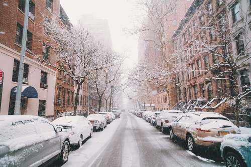 winter road between vehicles covered by snow parked beside concrete buildings and bare trees blizzard