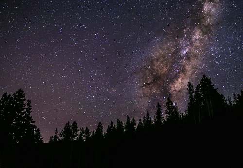 galaxy silhouette of tree under cosmos sky during nighttime milky way