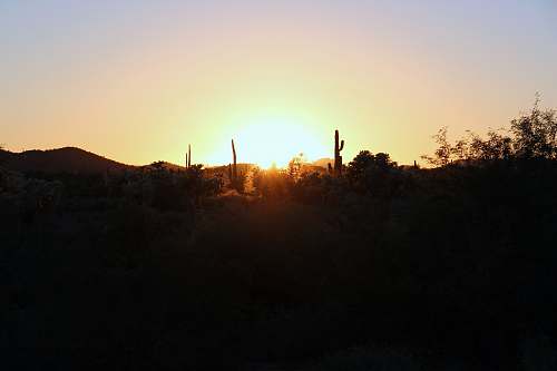 sunset sunset photo nature