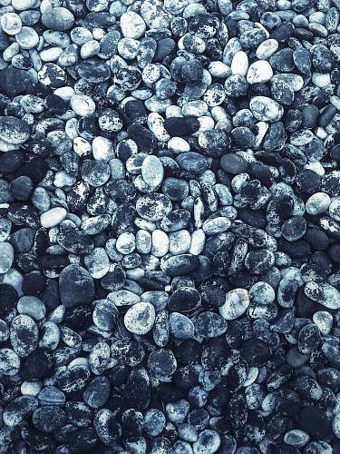 pebble closeup photography of stones bethesda