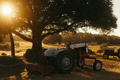 transportation white tractor parked beside tree vehicle