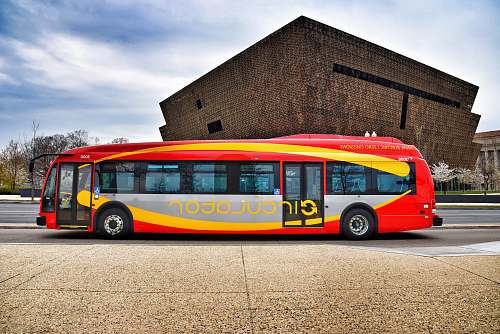bus red, gray, and yellow bus vehicle