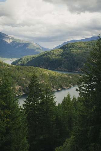 nature aerial photography of body of water surrounded by trees under cloudy sky during daytime landscape