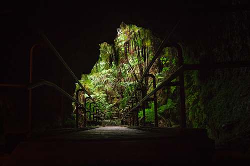 forest bridge architectural photography cave