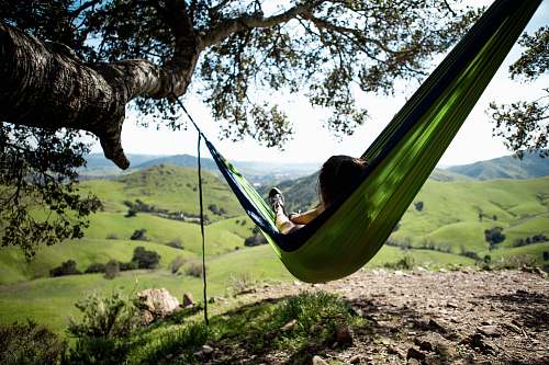 hammock green hammock furniture