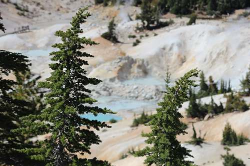 explore green trees on hills conifer
