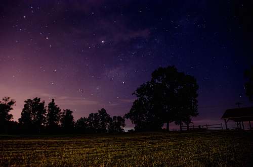 night silhouette of trees during nighttime space
