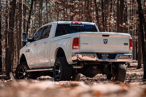 transportation white Dodge crew cab pickup truck truck