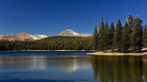 outdoors body of water surrounded by trees during daytime lake