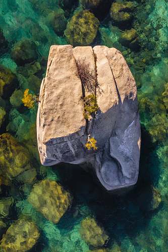 nature brown rock on body of water ocean